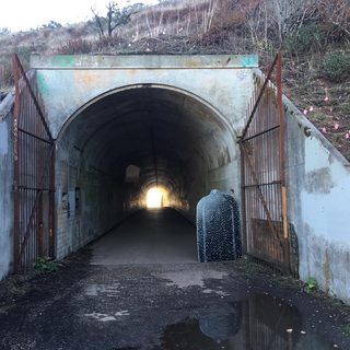 A Lyle held up in front of Marin Headlands