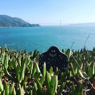 A Lyle held up in front of Point Bonita Lighthouse