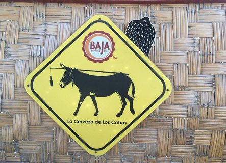 A Lyle held up in front of Los Cabos – Baja – Mexico