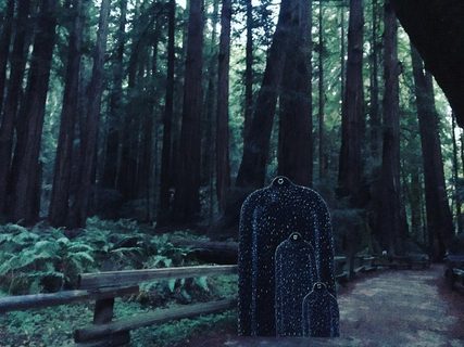 A Lyle held up in front of Muir Woods