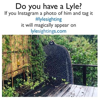 A Lyle held up in front of San Francisco