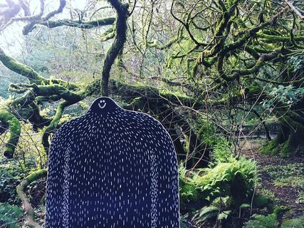A Lyle held up in front of Muir Woods