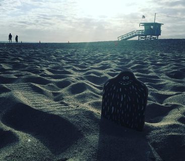 A Lyle held up in front of Santa Monica Beach