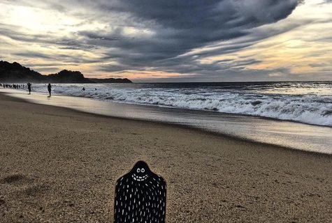 A Lyle held up in front of San Pancho Mexico