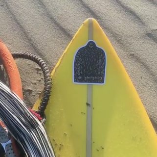 A Lyle held up in front of Dillon Beach