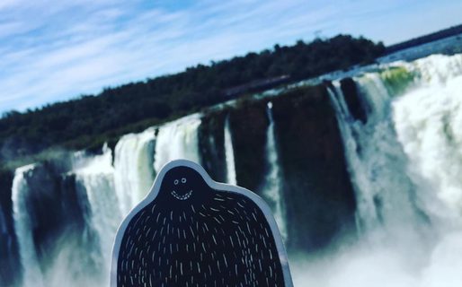 A Lyle held up in front of Iguazu Falls, Argentina