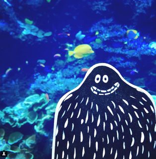 A Lyle held up in front of Georgia Aquarium