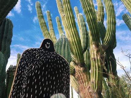 A Lyle held up in front of La Paz – Mexico