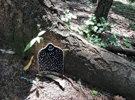 A Lyle held up in front of Camp Tamarancho