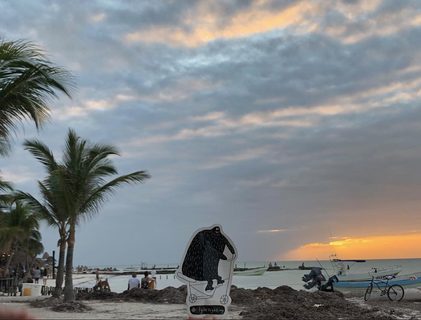 A Lyle held up in front of Isla Holbox – Mexico