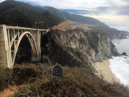 A Lyle held up in front of Big Sur