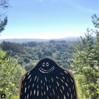 A Lyle held up in front of Napa