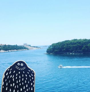 A Lyle held up in front of Dubrovnik