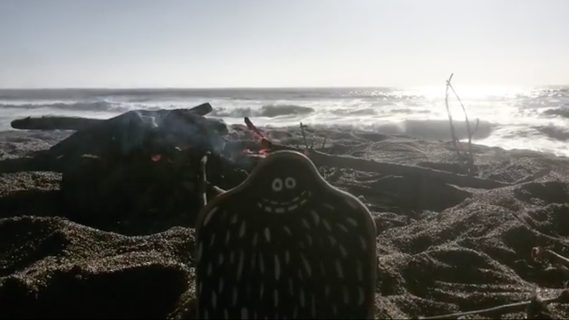 A Lyle held up in front of Point Reyes Beach