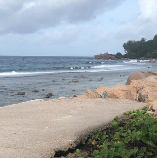 A Lyle held up in front of La Digue, Seychelles