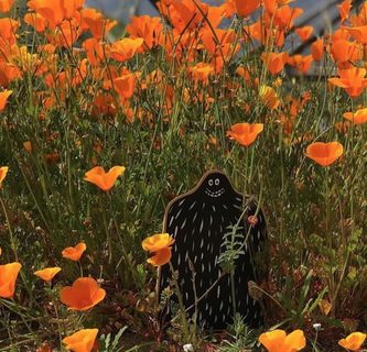 A Lyle held up in front of Lake Elsinore Superbloom