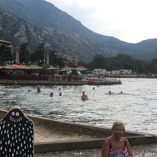 A Lyle held up in front of Kotor beach
