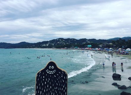A Lyle held up in front of Sayulita Mexico