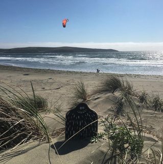 A Lyle held up in front of Dillon Beach