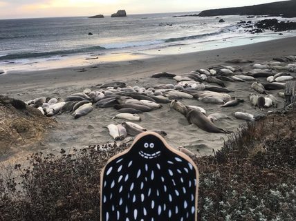 A Lyle held up in front of Big Sur