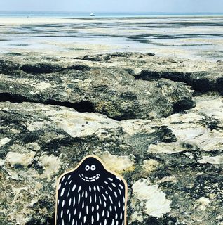 A Lyle held up in front of Ibo Island, Mozambique