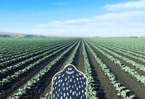 A Lyle held up in front of San Luis Obispo