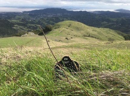A Lyle held up in front of Loa Alta Trail
