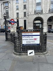 An ant left in a public place, the Royal Academy