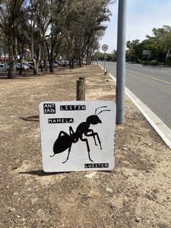An ant left in a public place