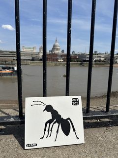 An ant left in a public place, the South Bank