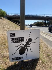An ant left in a public place