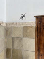 An ant left in a public place
