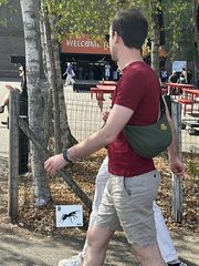 An ant left in a public place, the South Bank