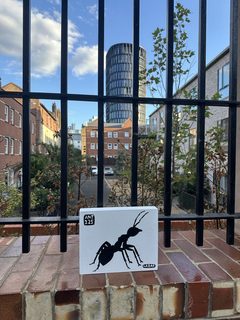 An ant left in a public place, Whitechapel