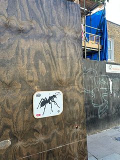 An ant left in a public place, Hampstead Heath