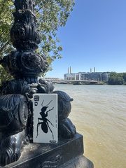 An ant left in a public place, Chelsea