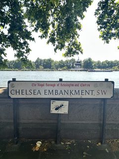 An ant left in a public place, Chelsea