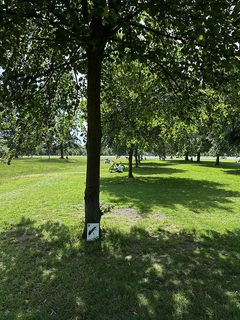 An ant left in a public place, Kensington Gardens