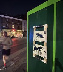 An ant left in a public place