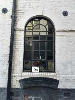 An ant left in a public place, Whitechapel