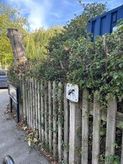 An ant left in a public place, Hampstead Heath