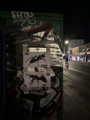 An ant left in a public place