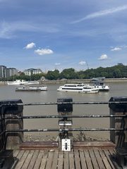An ant left in a public place, the South Bank