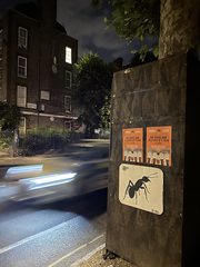 An ant left in a public place