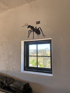 An ant left in a public place