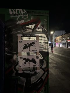 An ant left in a public place