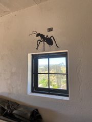An ant left in a public place