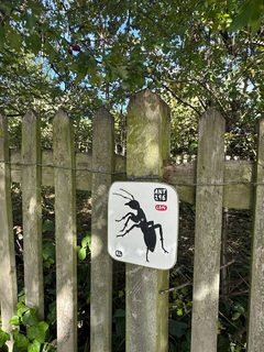 An ant left in a public place, Hampstead Heath