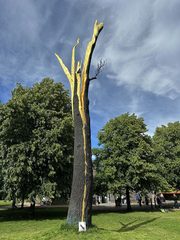 An ant left in a public place, Kensington Gardens
