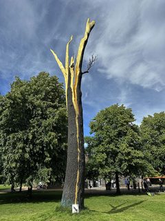An ant left in a public place, Kensington Gardens